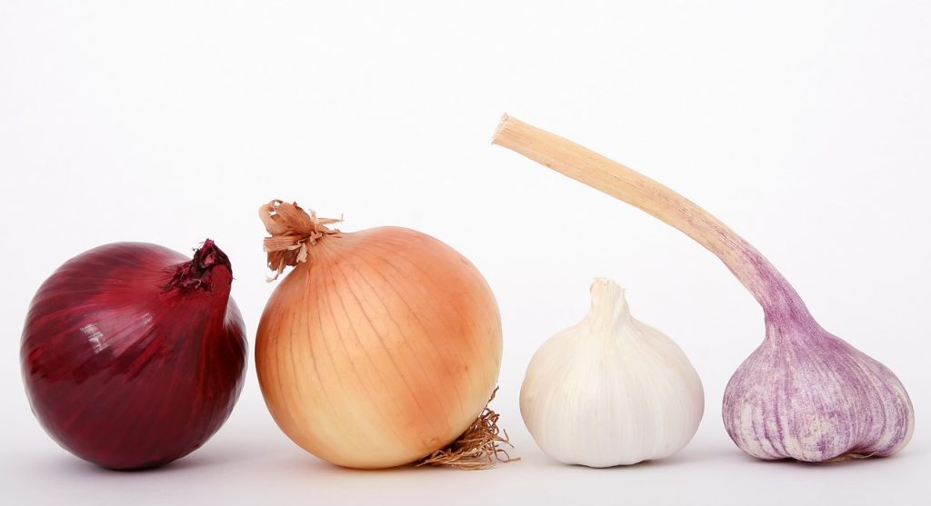 four types of onions