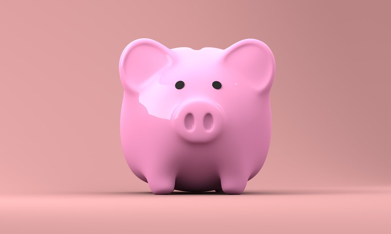 Pink piggy bank